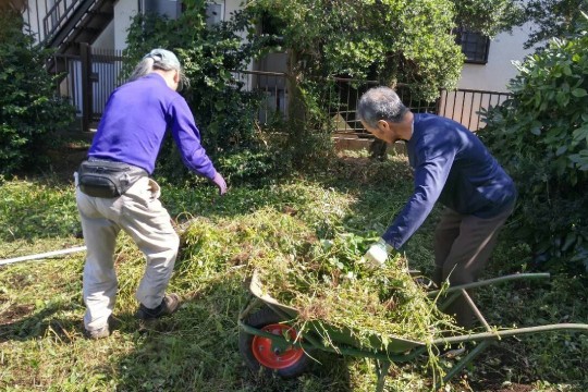 岩手・盛岡のお片付けサービス エイトSERVICE/庭木のお手入れ